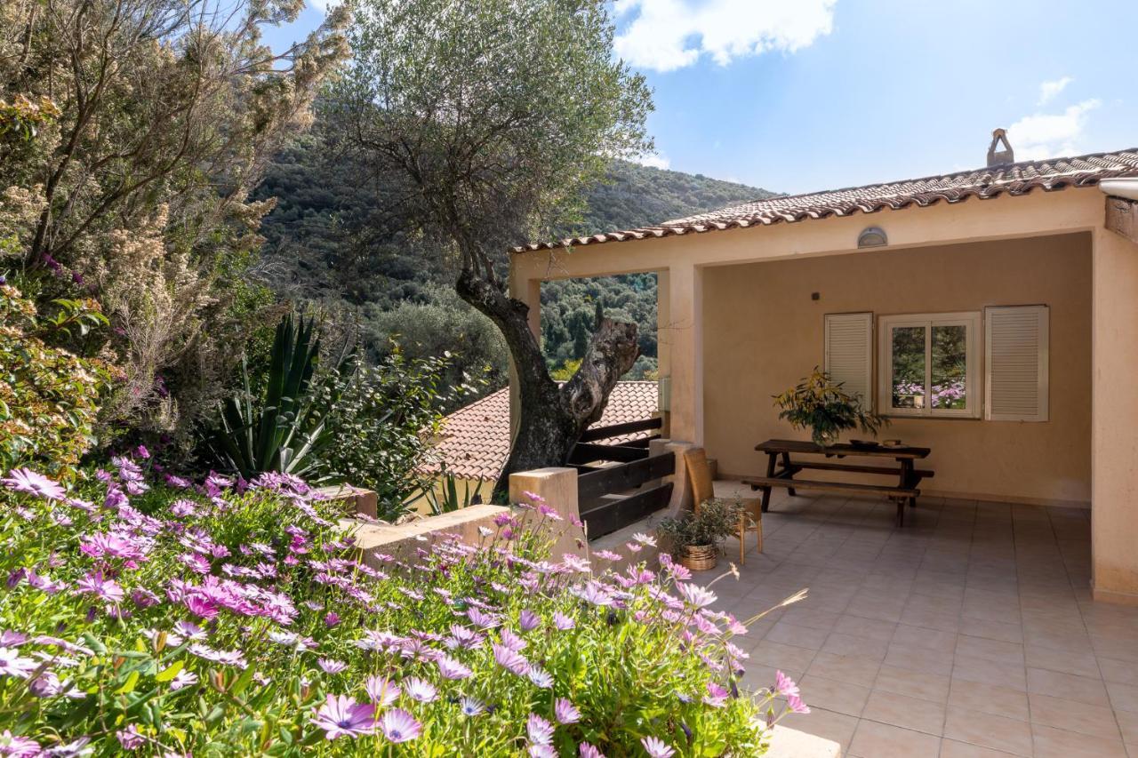 Residence Helios Cargese Bagian luar foto