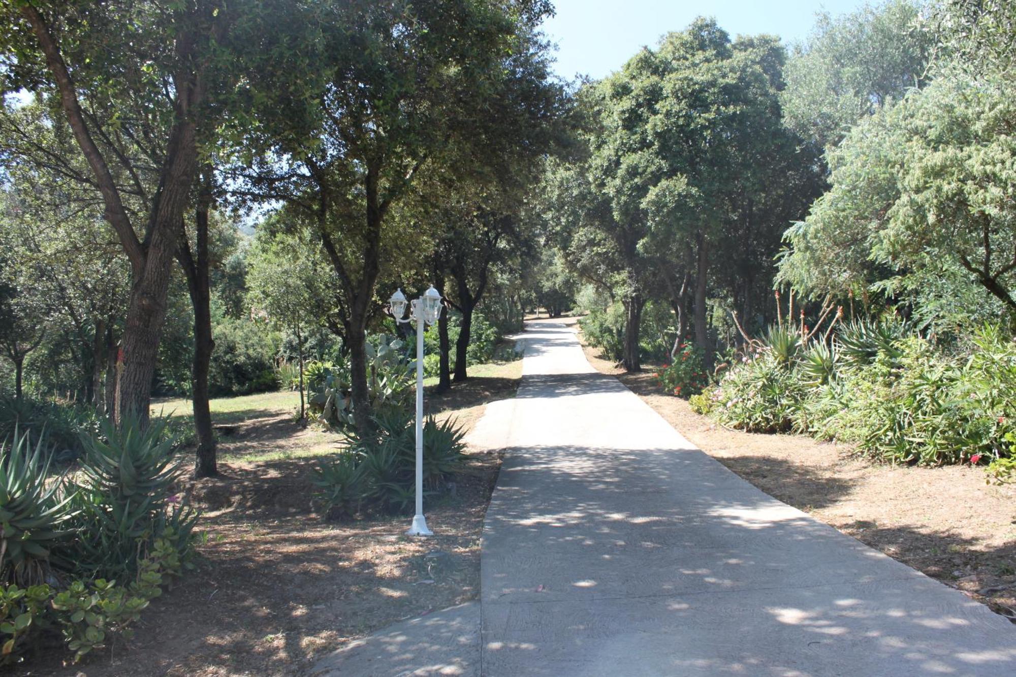 Residence Helios Cargese Bagian luar foto