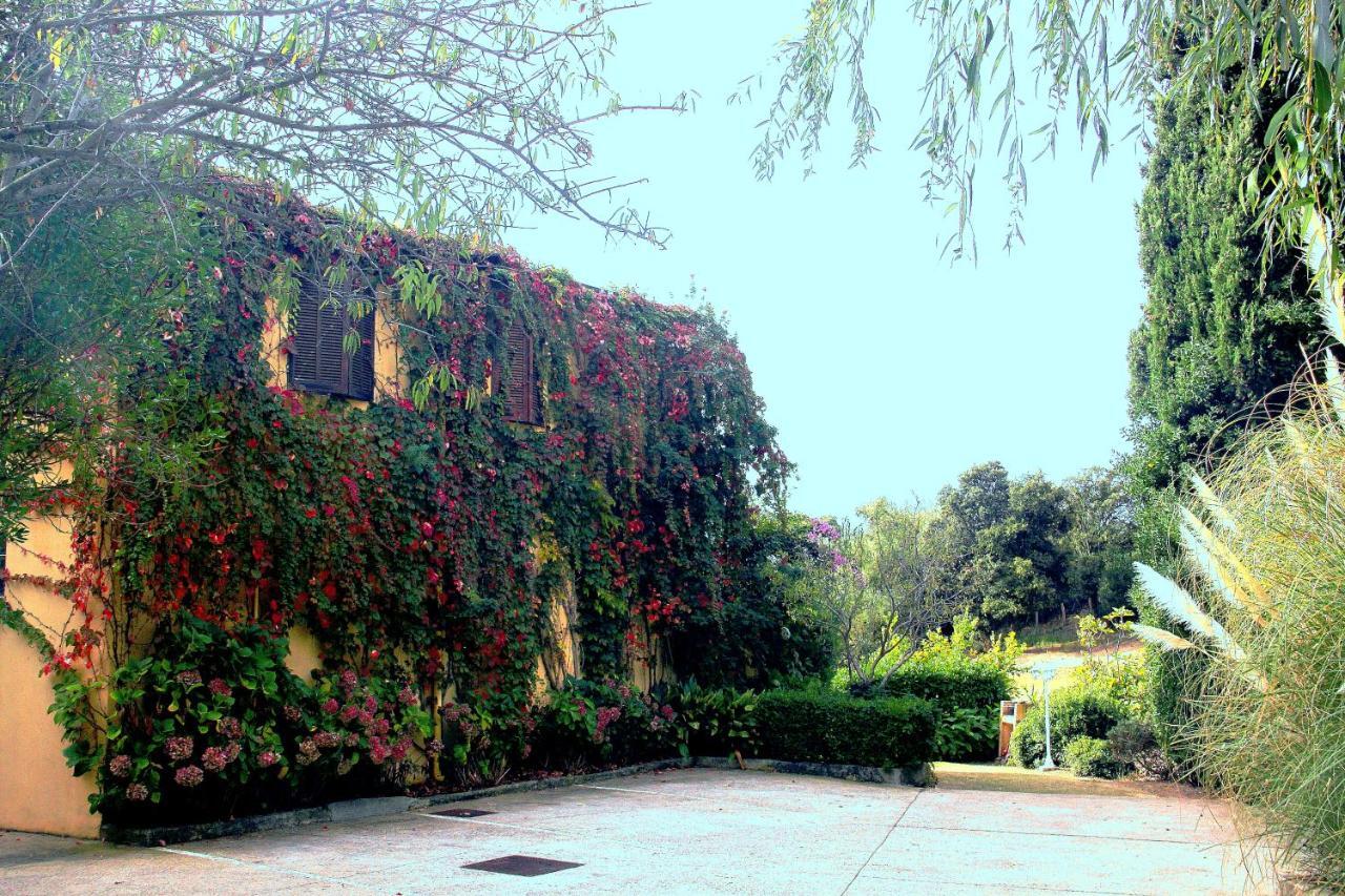 Residence Helios Cargese Bagian luar foto