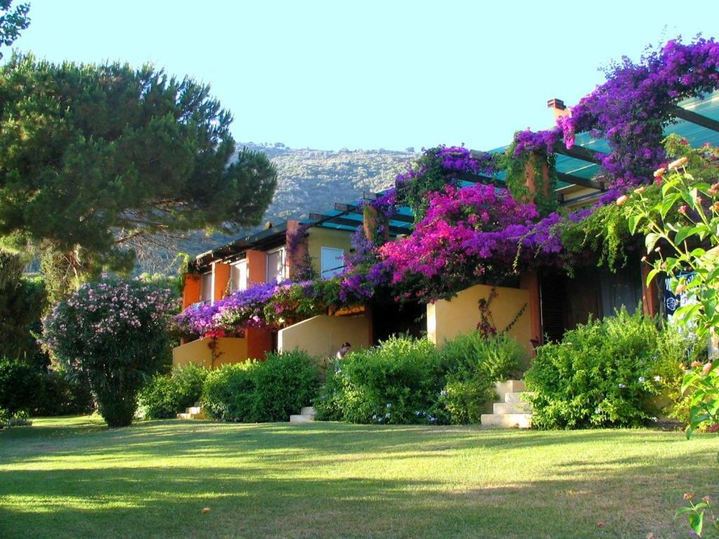 Residence Helios Cargese Bagian luar foto